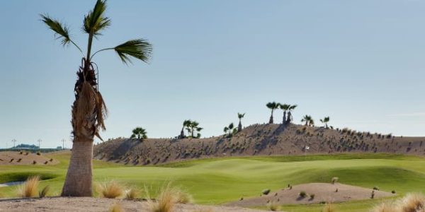 IRM NikeGolf Saurines GOLF (1)