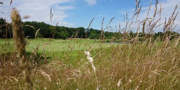 Int Moyland golf vakantie duitsland 1