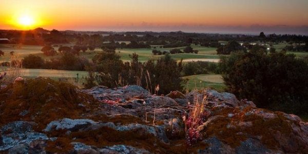 Is Molas golf vakantie italie Sardinie 117