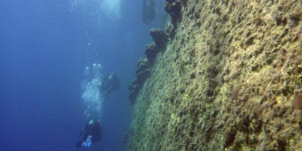 Katoulias Cove_Diving