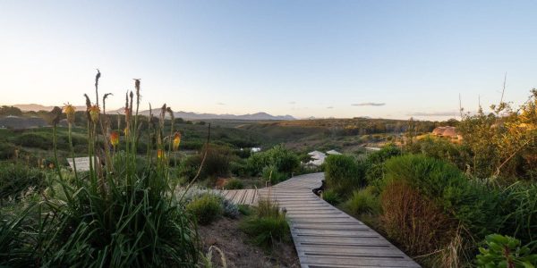 Kwena Suite Gondwana golfreis zuid afrika golfarrangementje (12)