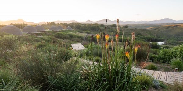 Kwena Suite Gondwana golfreis zuid afrika golfarrangementje (13)