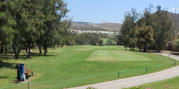 Las Americas 3