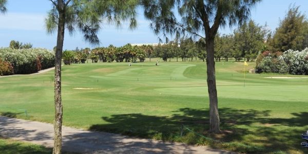Las Americas 4