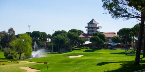 Montgomerie Max Royal (10)