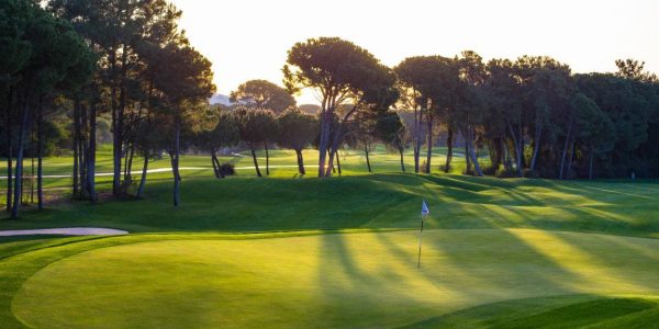 Montgomerie Max Royal (4)