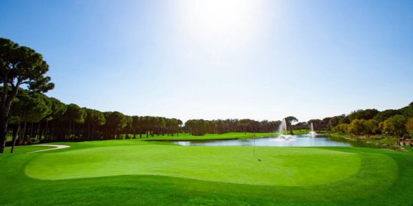 Montgomerie Max Royal (5)