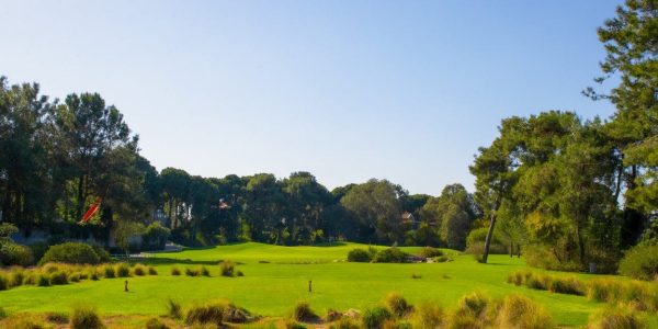 Montgomerie Max Royal (7)