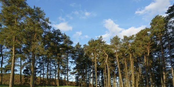 Murrayshall house hotel & golf courses, Perth, Scottland
