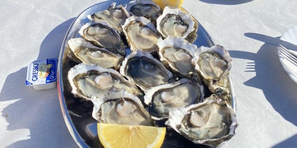 Oester Casela Velha