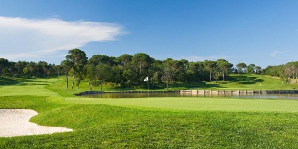Hole #3-11 Green