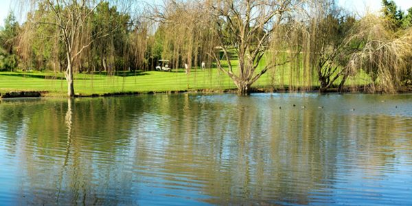 Pestana-Alto-Golf-4-low