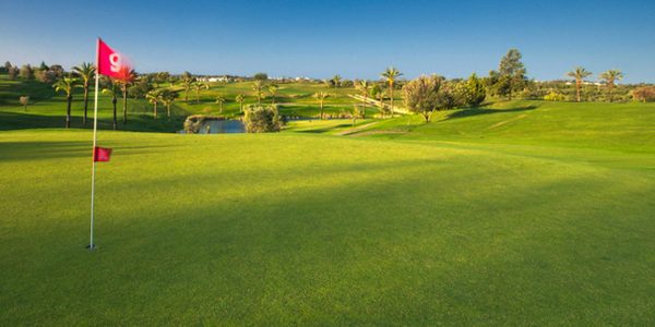 Pestana-Gramacho-3-low