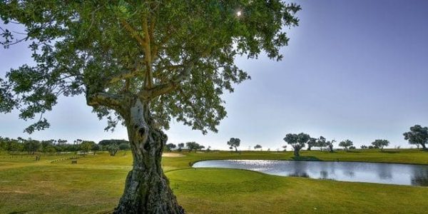 ROBINSON CLUB QUINTA DA RIA golf vakantie Portugal algarve (43)