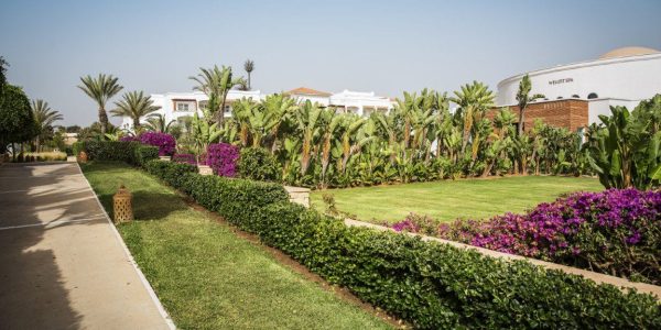 Robinson club agadir golfarrangementje golfreizen all inclusive (17)
