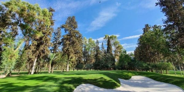 Royal Golf Marrakech 014