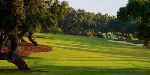SOTOGRANDE (4)