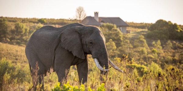 Safari Gondwana golfreis golfarrangementje zuid afrika (2)