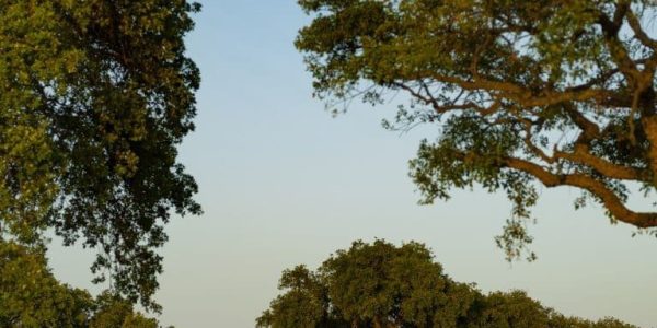 San Roque golf spanje (3)