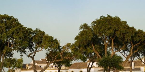 San Roque golf spanje (7)