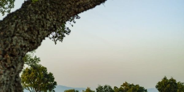 San Roque golf spanje (9)