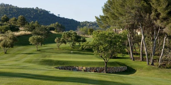 Son Quint Executive Course