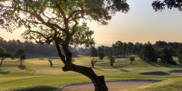 Son Quint Golf