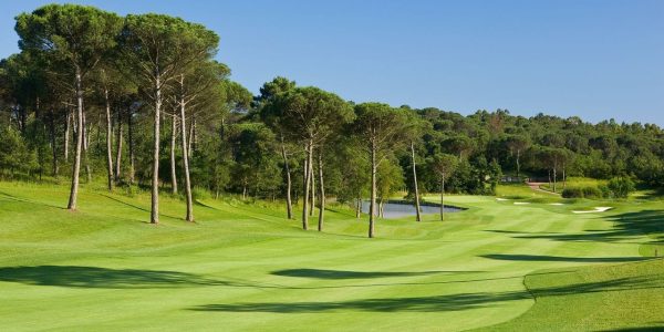 Stadium course Hole 3