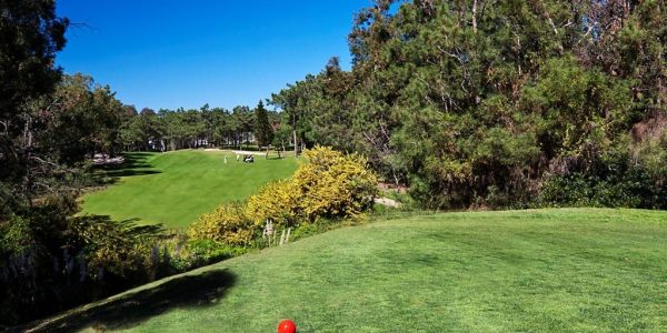 Golfbaan