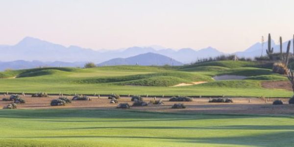 THE INDIANA COURSE (8)