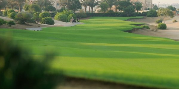 The Els golf #Dubai golfarrangementje #visitdubai 7
