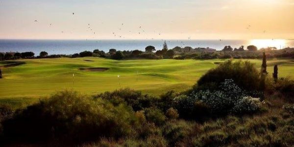 vCosta Navarino Dune Course, Bay Course, The Hills en International Olympic Academy Golf Course.

Door deze 4 golfbanen van wereldklasse: Costa Navarino Dune Course en Bay Course, staat Griekenland in één klap op de kaart als ultieme golfbestemming. De lofuitingen in de internationale golfwereld over beide signature golfbanen zijn overweldigend. Zowel Dune Course als Bay Course behoren direct tot de fraaiste banen van Europa en bieden voor golfers van elk niveau een uitdaging.