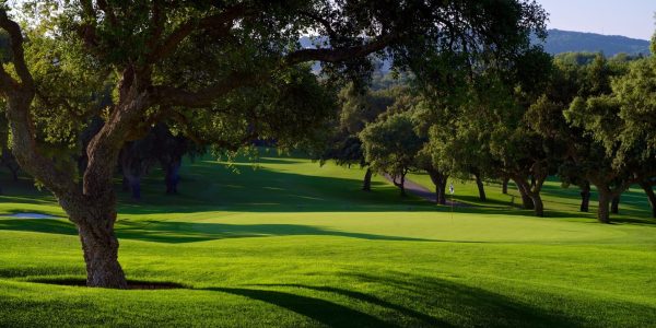 Valderrama (3)