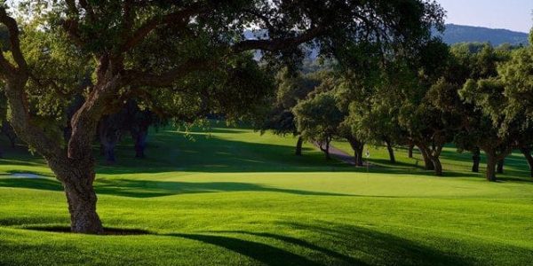 Valderrama (3)