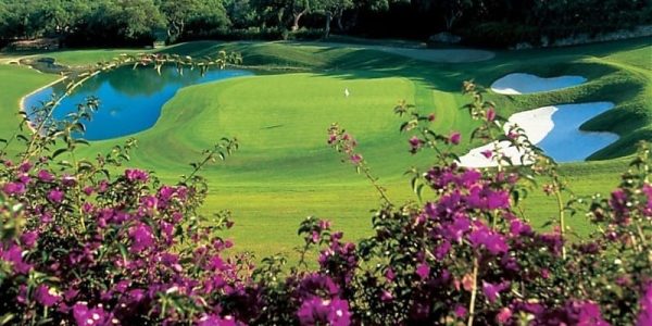 Valderrama 7