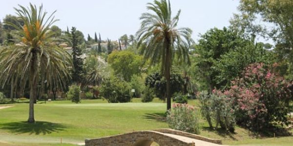 el-paraiso-golf