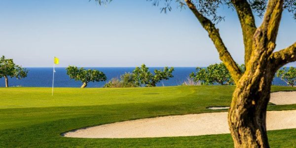 golf reis portugal quinta da ria (17)