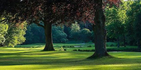 golf vakantie frankrijk Chateau Augerville1013