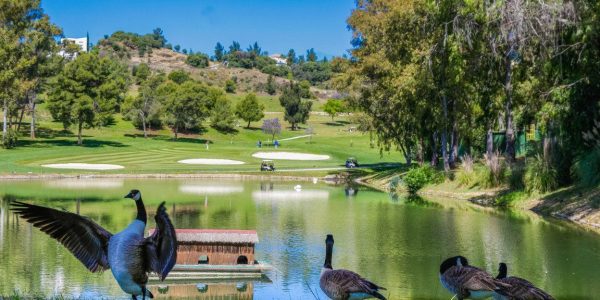 golfarrangementje ME Marbella golf vakantie Marbella (15)