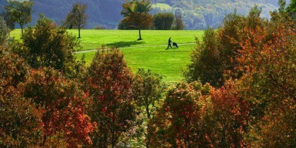 golfarrangementje hotel du golf saint omer (14)