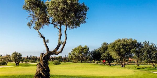golfvakantie portugal Quinta da ria cima golf 10