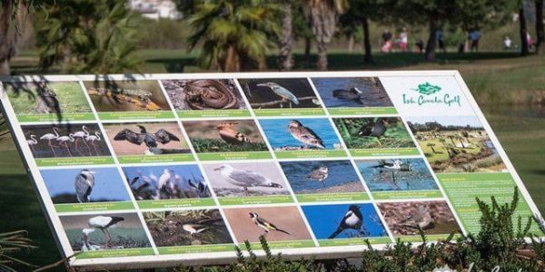 #golfvakantie #spanje #islacanela #Valleguadanialinks27