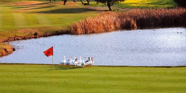 -hotel-barcelo-montecastillo-golf eend