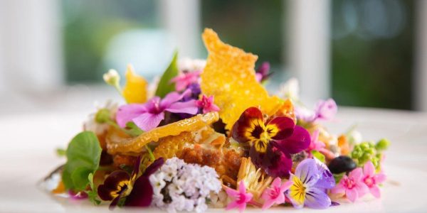 mhfood11