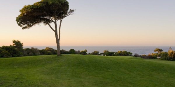 onyria quinta da marinha golf arrangement (12)