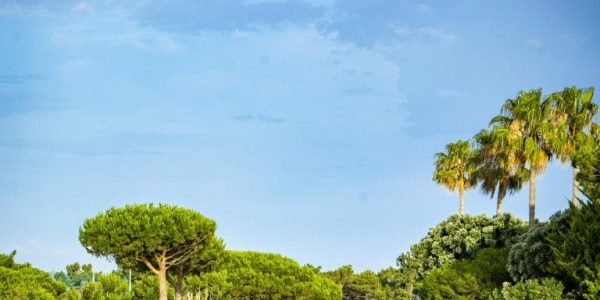 onyria quinta da marinha golf arrangement (13)