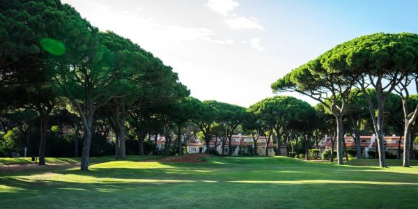 onyria quinta da marinha golf arrangement (18)