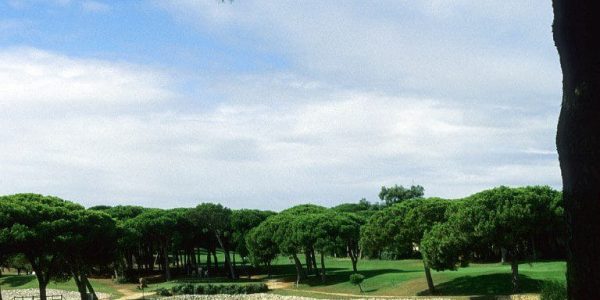 onyria quinta da marinha golf arrangement (21)