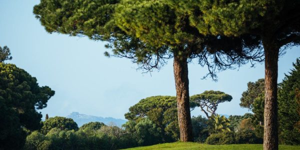 onyria quinta da marinha golf arrangement (31)