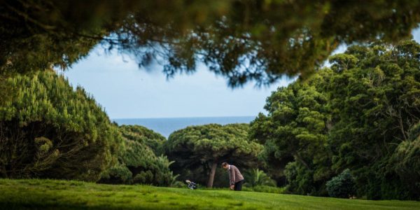 onyria quinta da marinha golf arrangement (43)